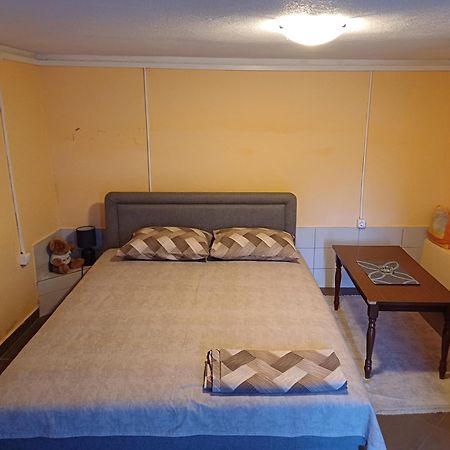 Apartman Pavle Virpazar Extérieur photo