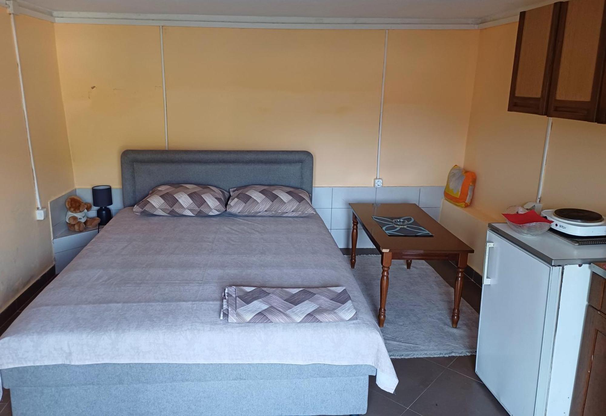 Apartman Pavle Virpazar Extérieur photo